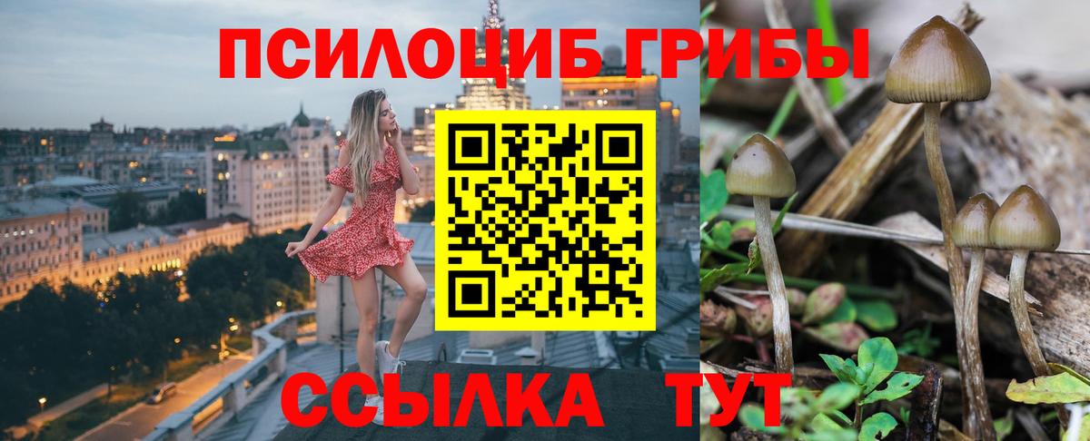 Галлюциногенные грибы прущие грибы  Вход с VPN  Лянтор 